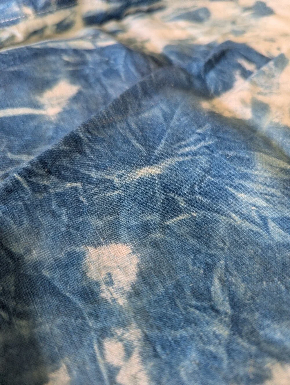 Set Of 2 Cyanotype Palm Pillow Covers